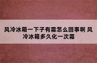 风冷冰箱一下子有霜怎么回事啊 风冷冰箱多久化一次霜